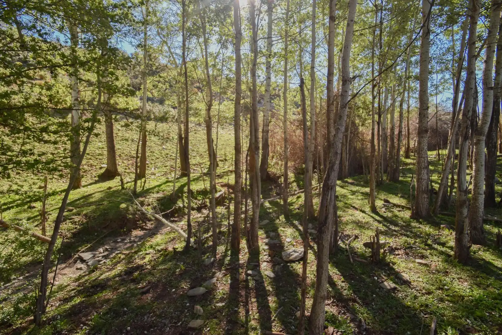 Terreno en venta en Paraje de las Perdices, Lugros