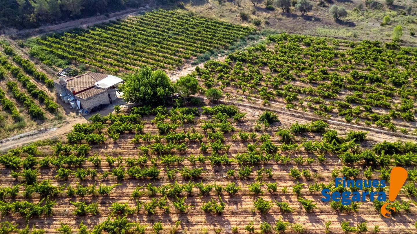 Terreny en venda en Bonastre