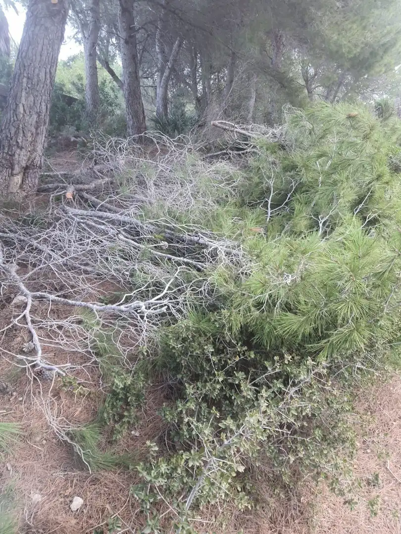 Grundstücke und Bauplätze zum Verkauf in Calafell Park, imagen 21