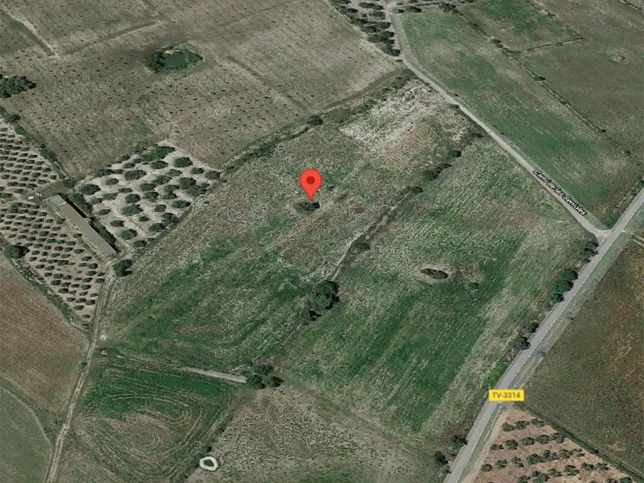 Terreny rústic en venda a El Pou Joa, imagen 14