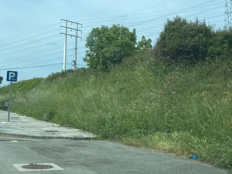 Lands and plots for sale in ORQUÍDEA, POLÍGONO 20, imagen 14