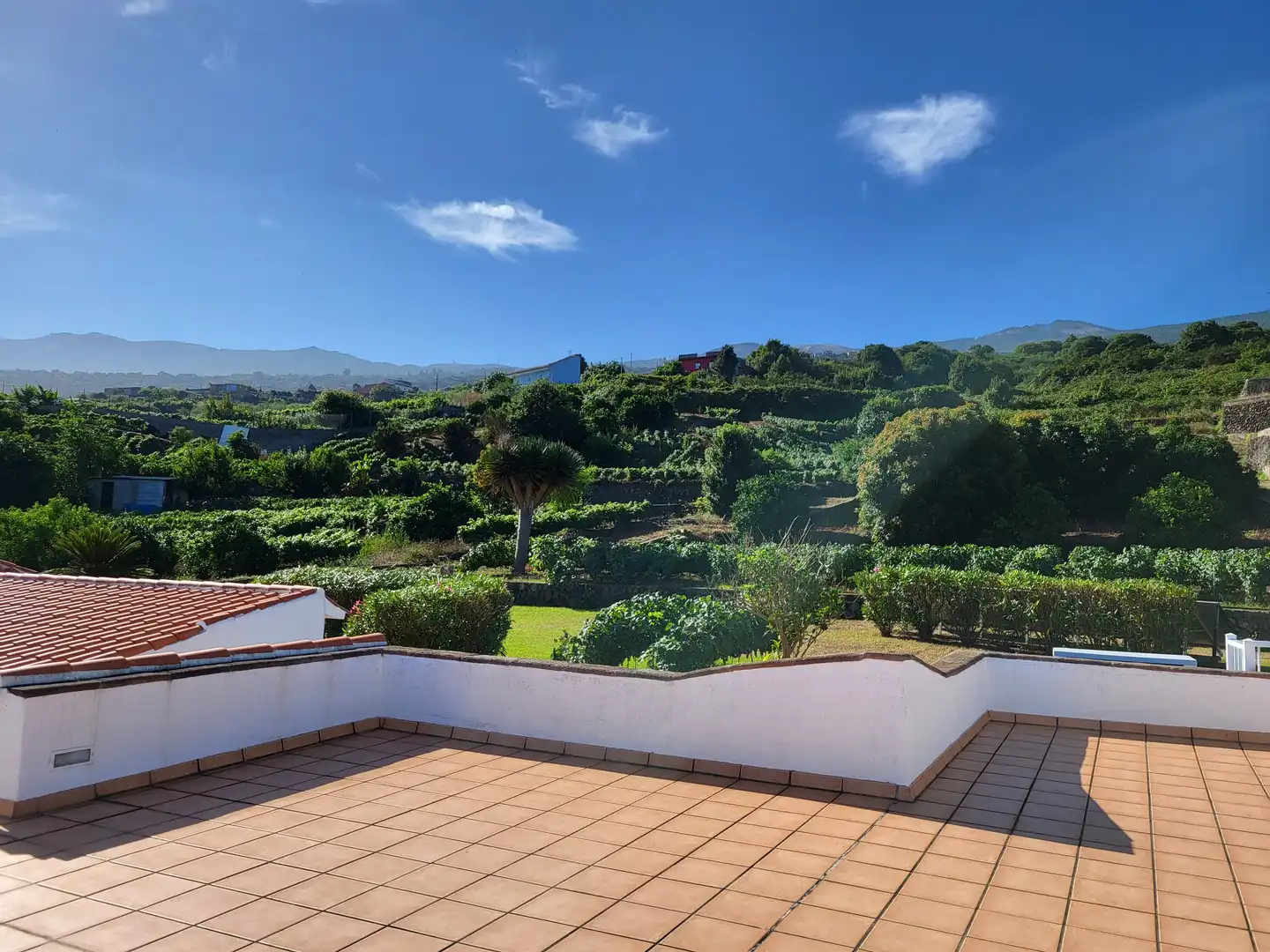 Maison à vendre à Cruz Santa, imagen 28