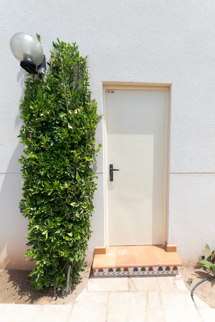 Garden of Storage room for sale in Vinaròs