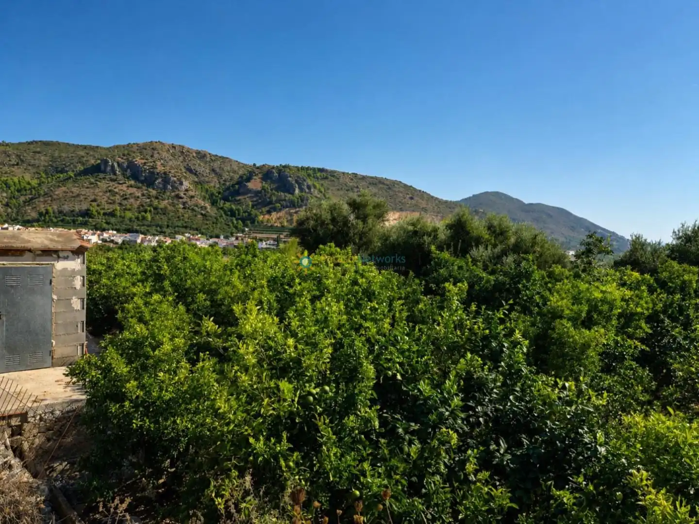 Rural land for sale in L'Atzúbia, imagen 4