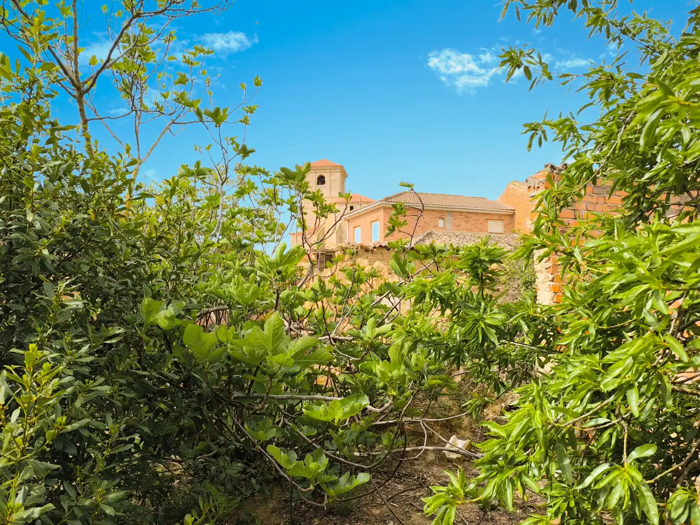 Jardí de Casa o xalet en venda en Pedraza de Campos amb Calefacció, Jardí privat i Traster