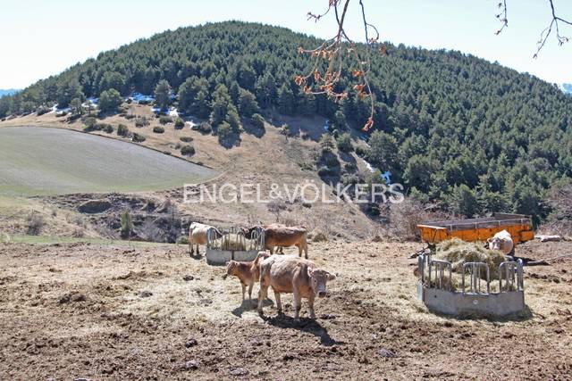 Finca rústica en Venta en Prullans