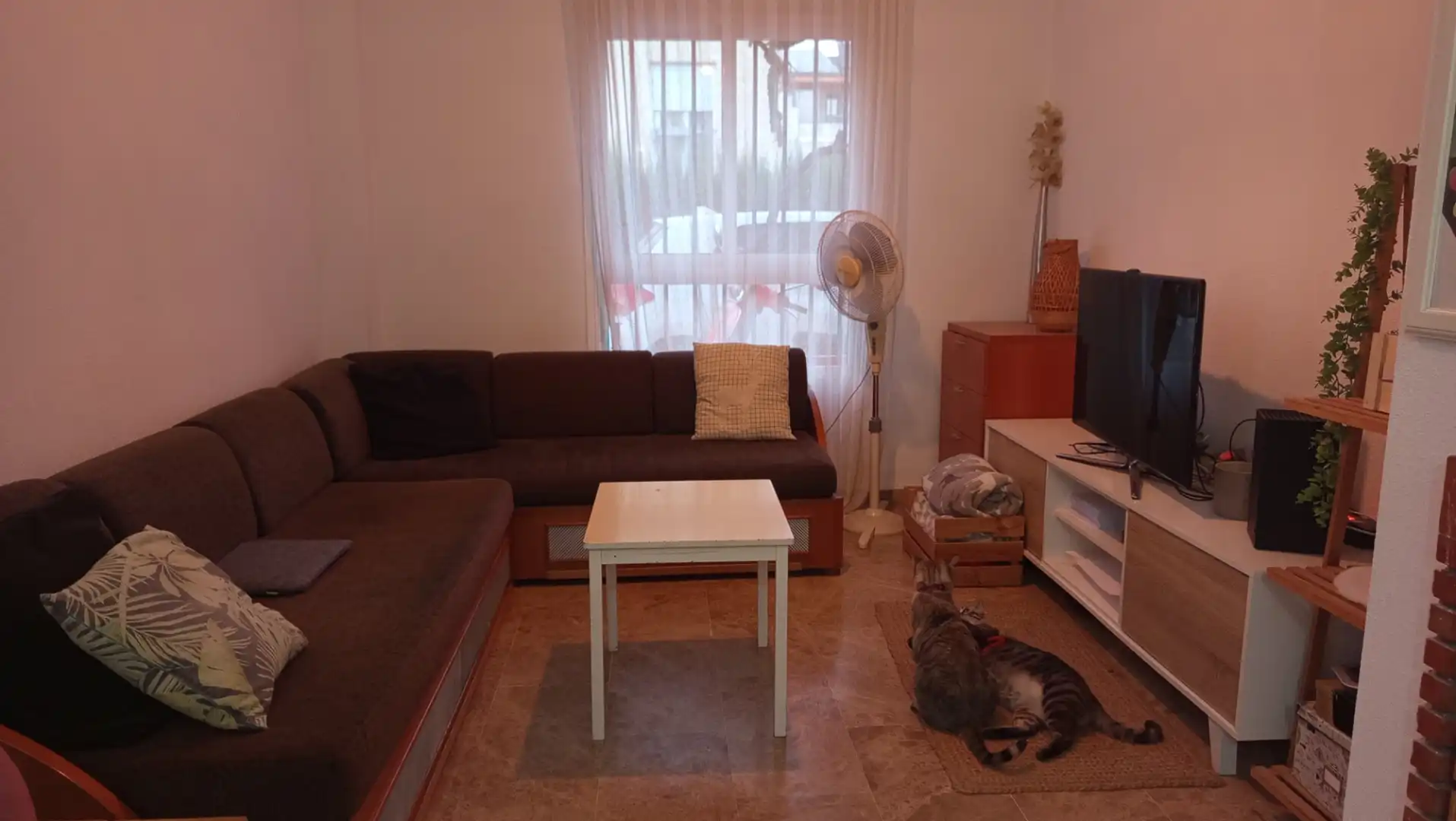 Living room of Detached homes for share in Zona Universitaria 
