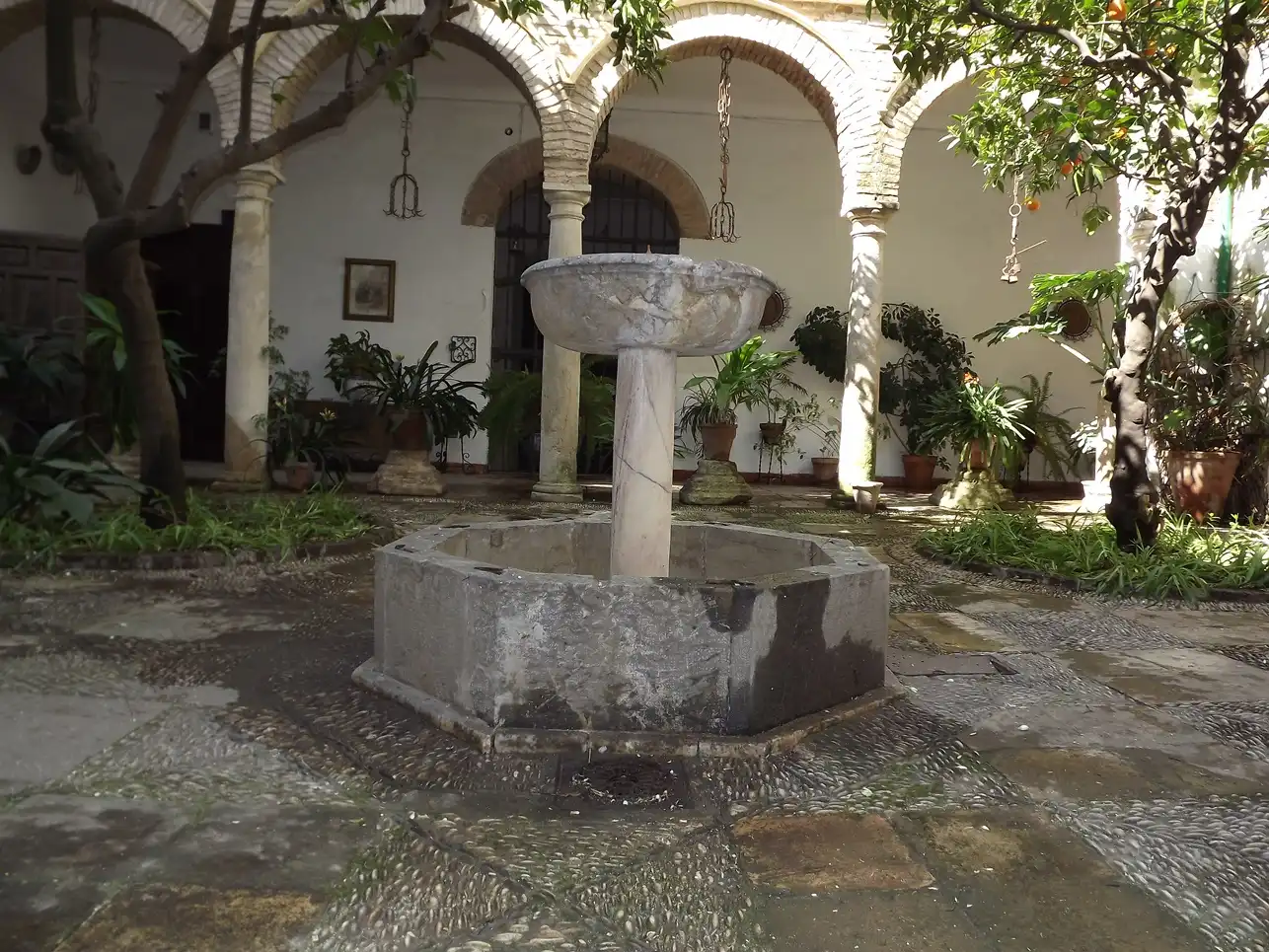 Autres à vendre à Centro, imagen 2