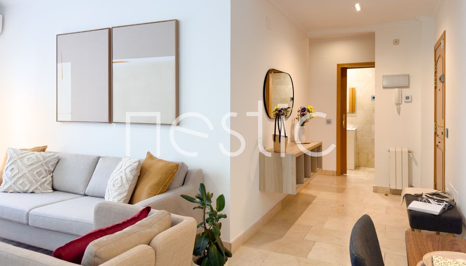 Apartamento de alquiler en Calle de Amara, 2, San Pascual - Imagen 2