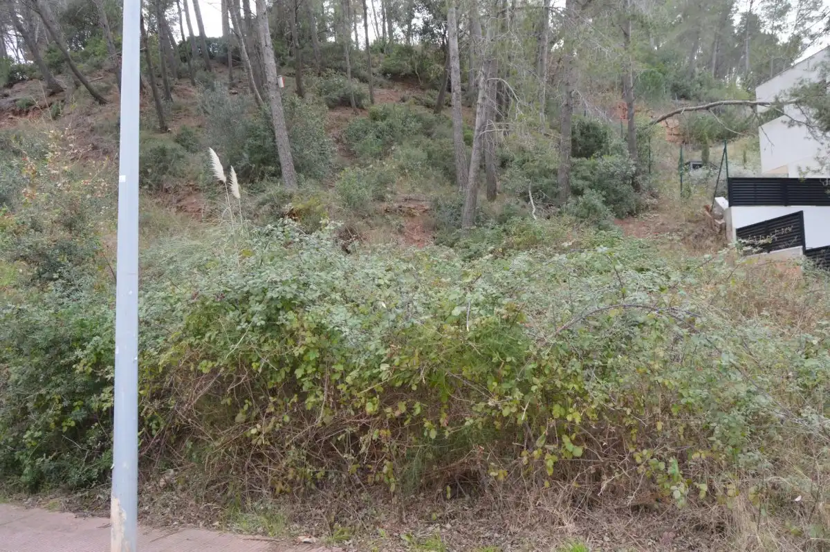 Terreni e lotti in vendita a Corbera de Llobregat, imagen 12