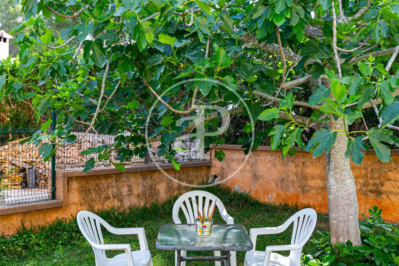 Jardí de Casa o xalet en venda en Alcúdia amb Calefacció, Jardí privat i Terrassa