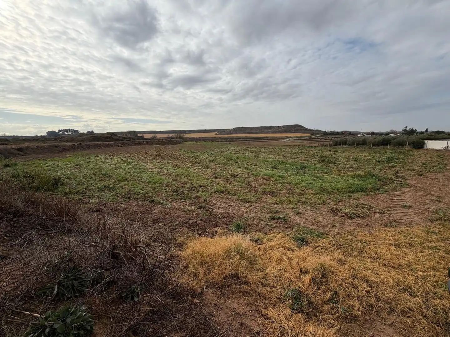Terreno rustico in vendita a Carrer la Font, imagen 3