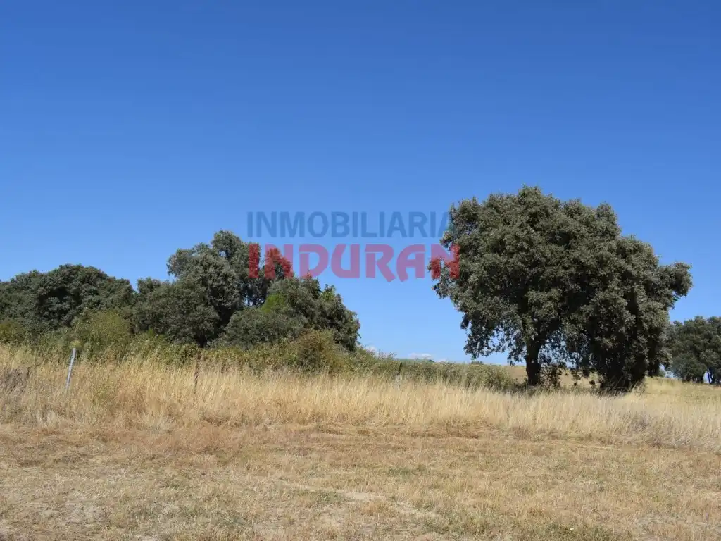 Haus zum Verkauf in Peraleda de la Mata, imagen 3