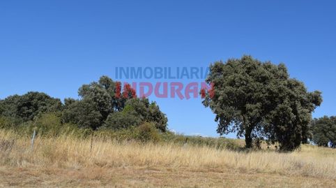 Foto 3 de Casa o chalet en venta en Peraleda de la Mata, Cáceres