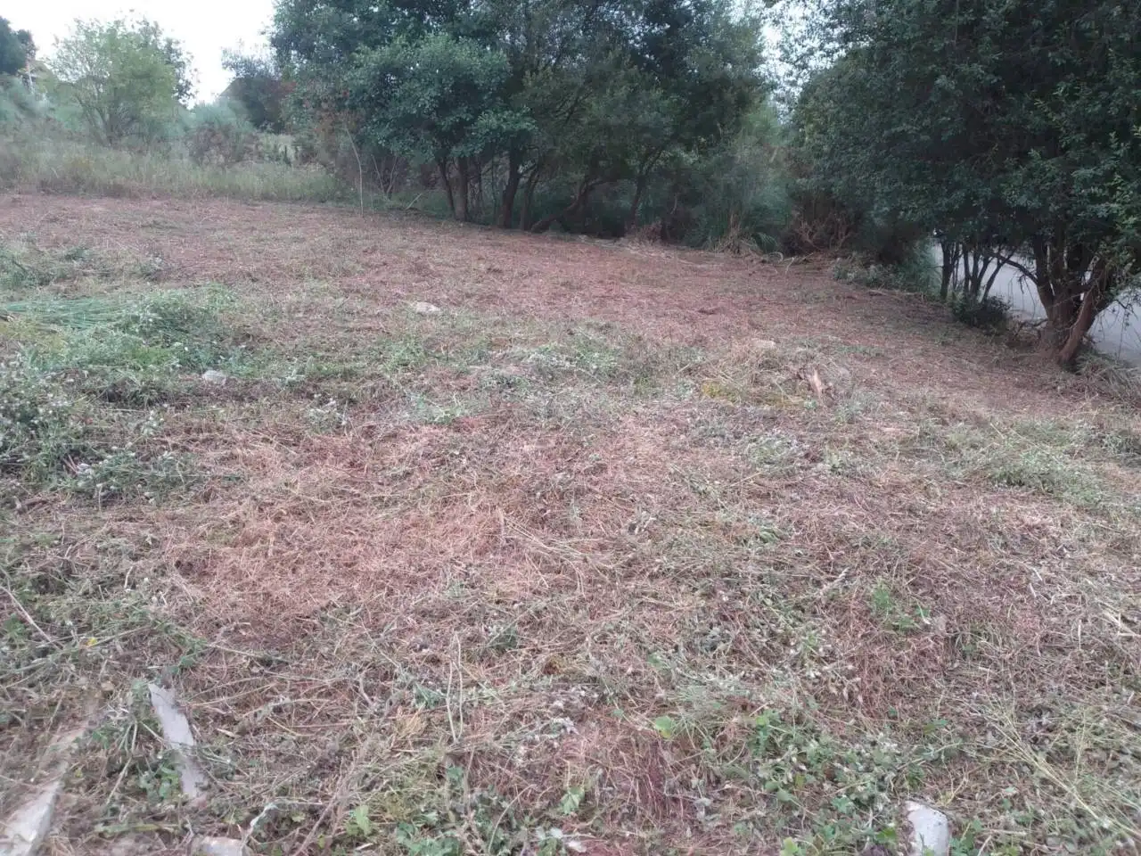 Terreni e lotti in vendita a Meruelo, imagen 8