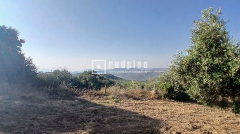 PARCELA RÚSTICA NO URBANIZABLE DE 20.014 m EN CASAPALMA, COLMENAR., immagine 4