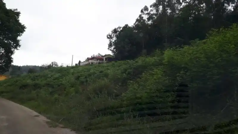 Terreni e lotti in vendita a Mazcuerras, imagen 11