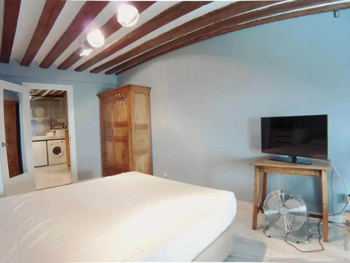 Apartment to rent in Centro, imagen 15
