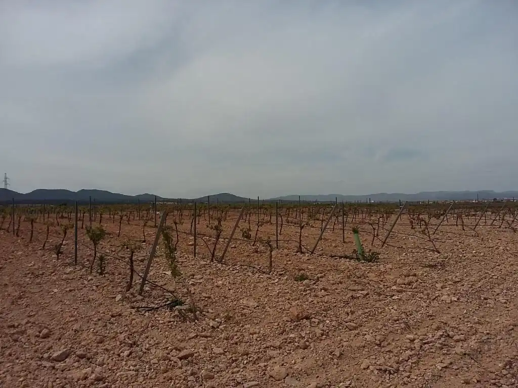 Terreny rústic en venda a POLIGONO, imagen 7