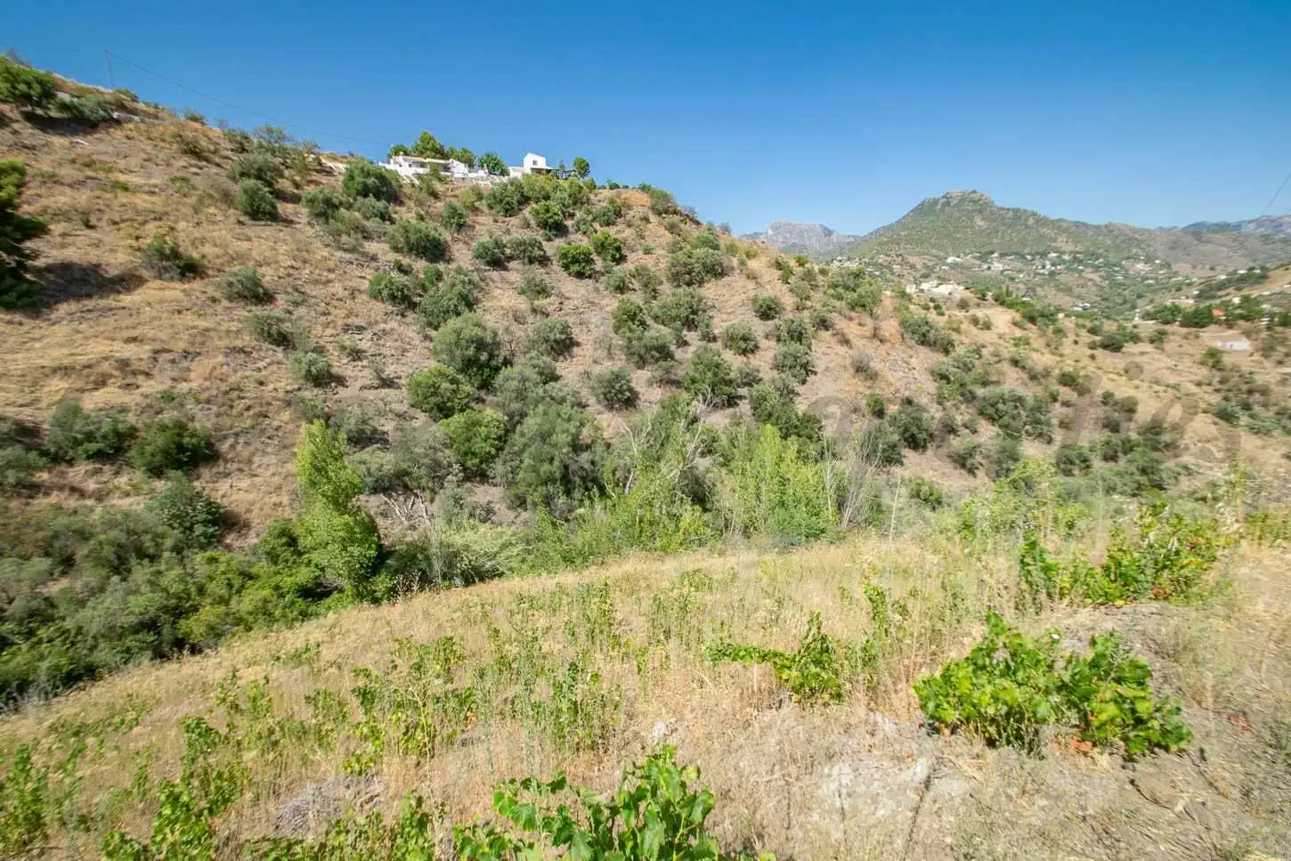 Rustikales Grundstück zum Verkauf in Torrox Pueblo, imagen 5