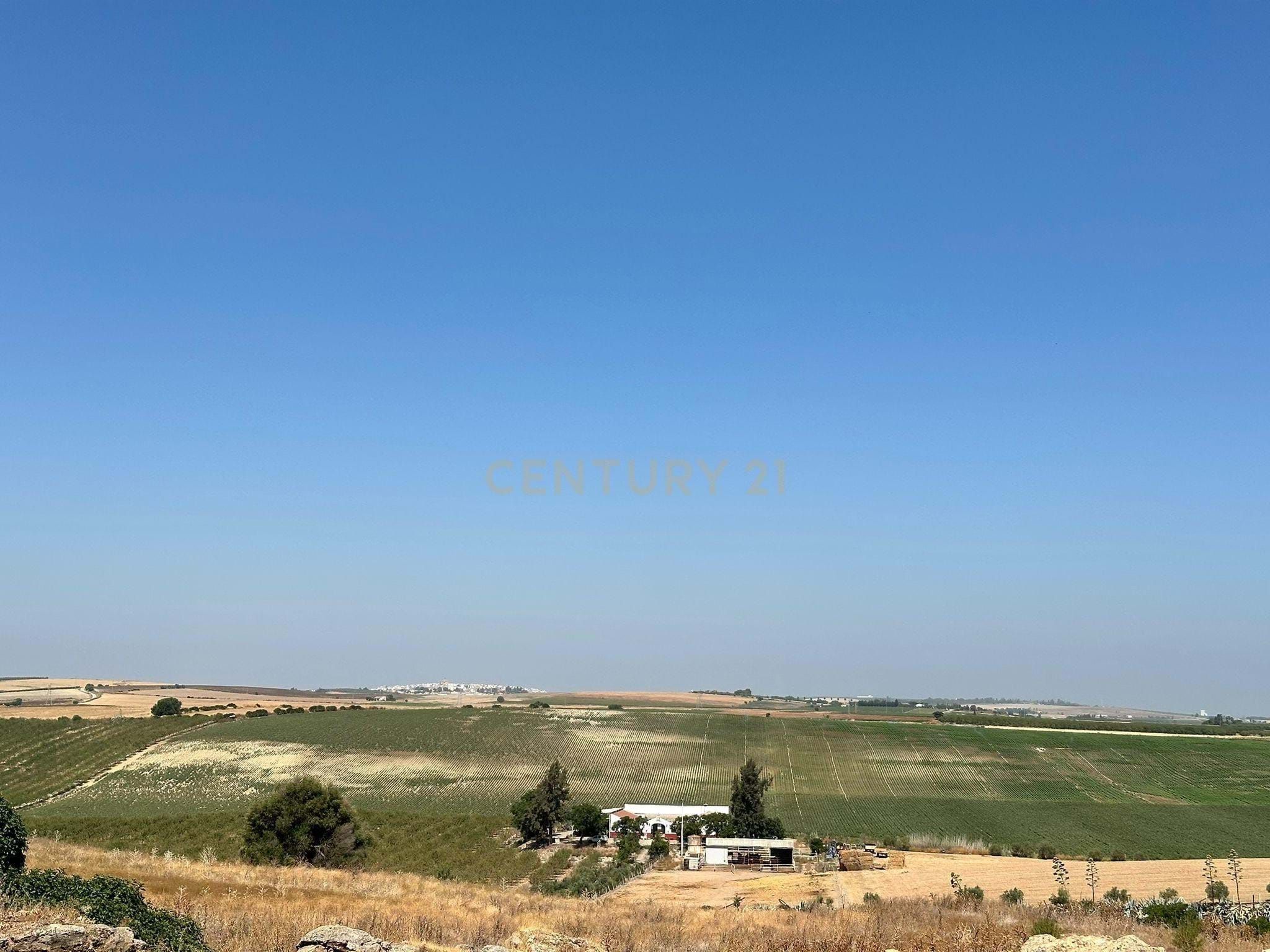 Residential for sale in Calle las Cabezas de San Juan, Seville, Spain, -1, Palmete