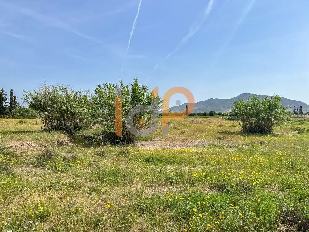 Terrain rustique à vendre à Huércal-Overa, imagen 4