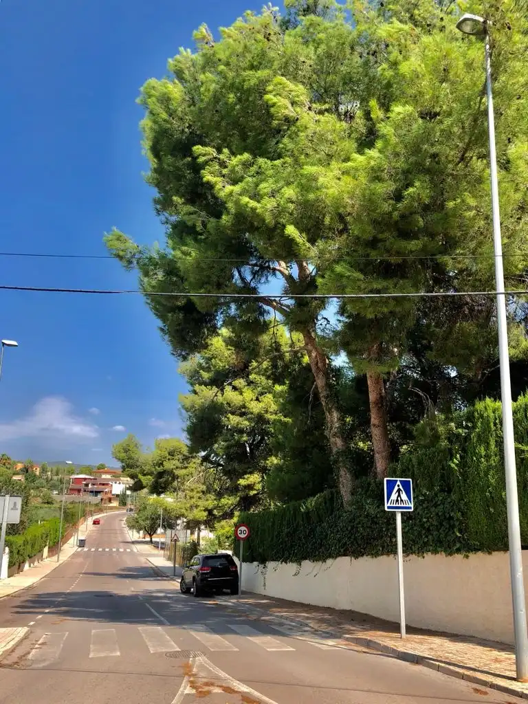Villa con piscina in vendita a Avenida las Moreras 7, imagen 16