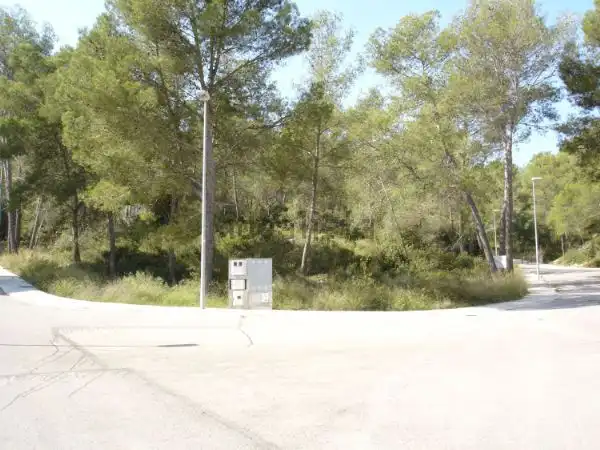 Terreno residenziale in vendita a Can Lloses - Can Marcer, imagen 3