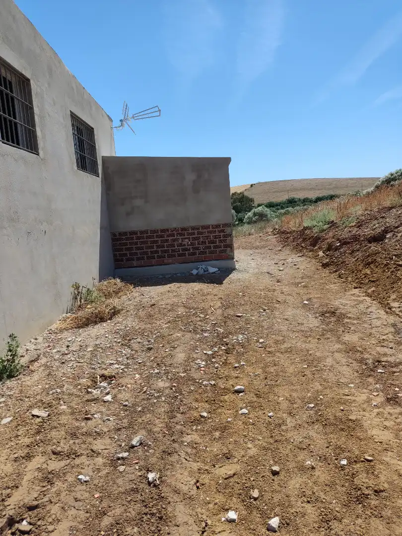 Country homes for rent in Medina Sidonia