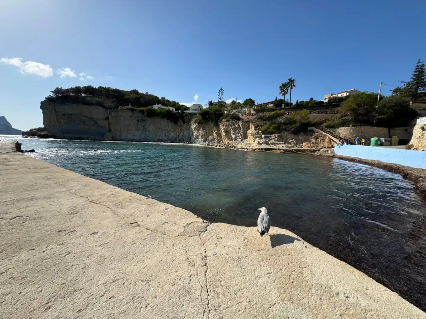 Wohnbaugrundstück zum Verkauf in Cala Advocat - Baladrar, imagen 27