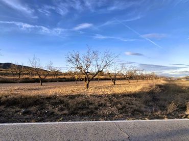 Terreno rustico in vendita a Yecla