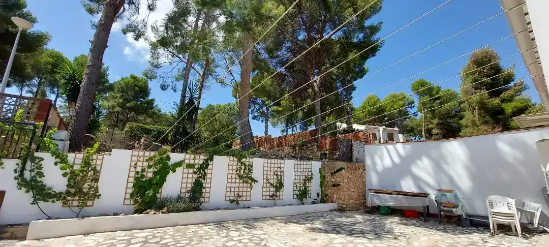Jardín de Casa o chalet en venta en Chiva con Jardín privado, Terraza y Trastero