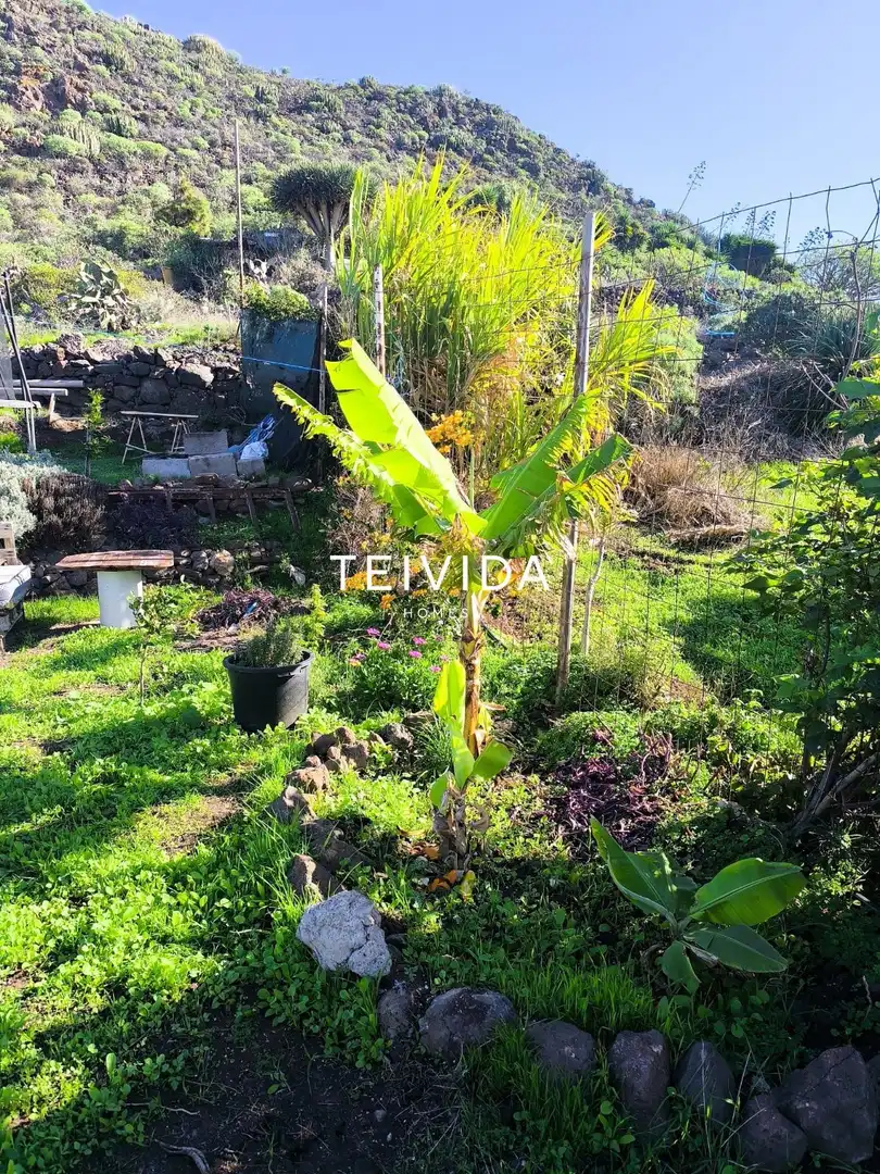 Flat for sale in San Cristóbal de la Laguna  with Private garden and Furnished