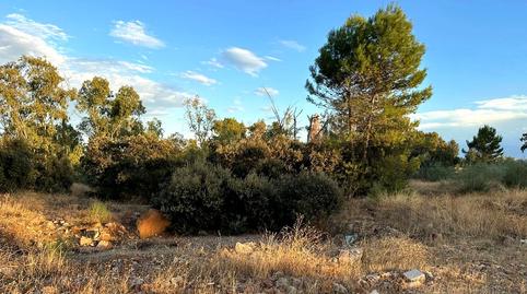 Foto 5 de Residencial en venda a Radio Faro, San Roque - La Cruz - La Rozuela, Jaén