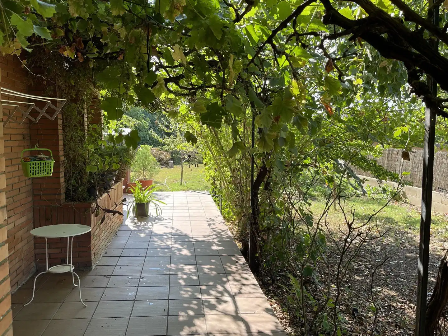 Casa con giardino in vendita a Calle Mimosa, imagen 11