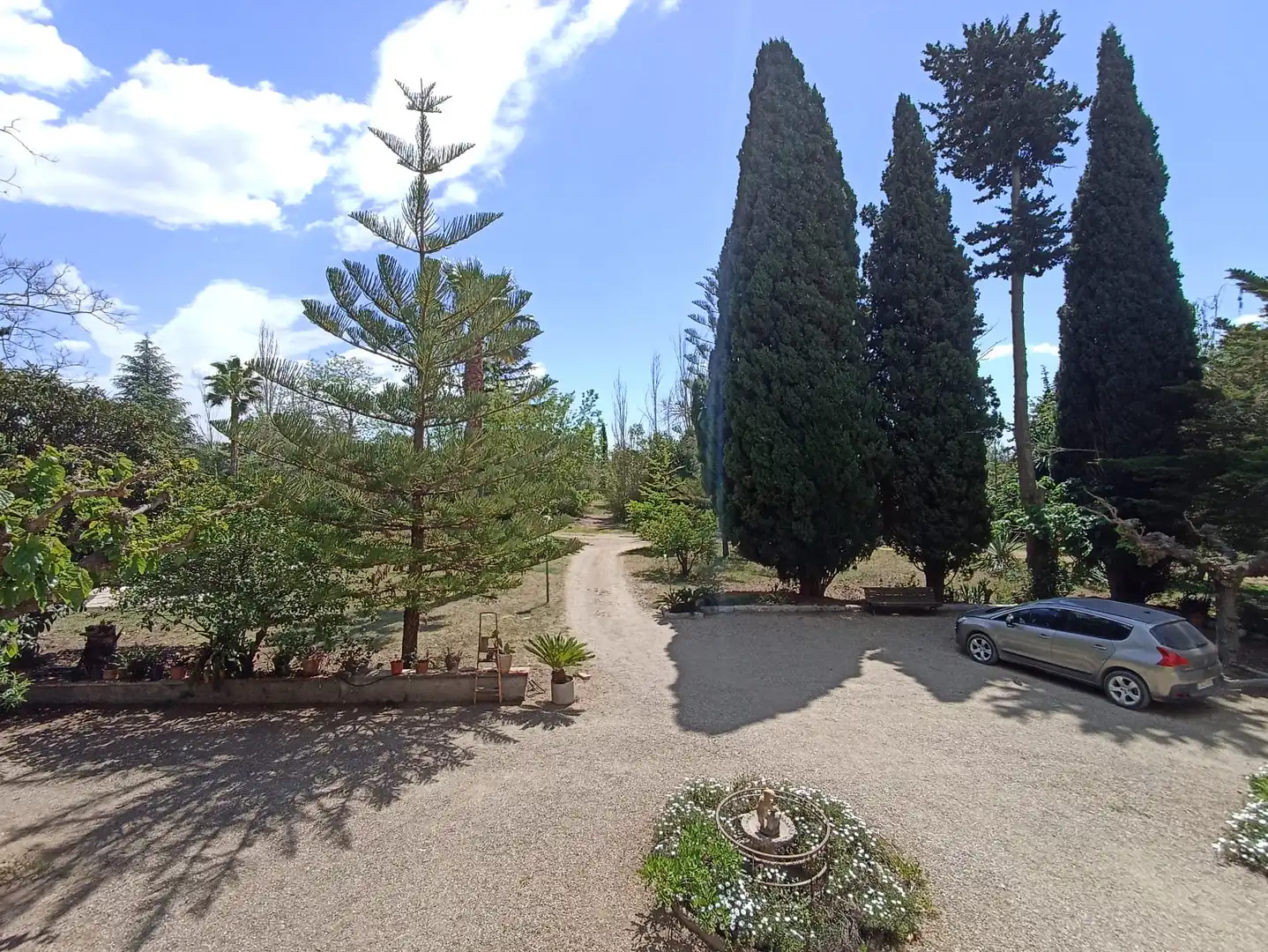 Rural land for sale in Carretera, imagen 26