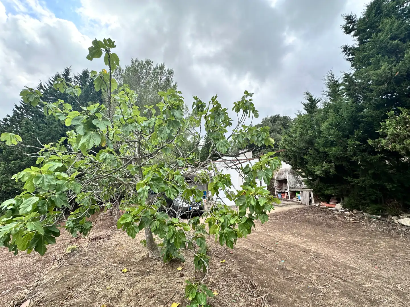 Houses for sale in Carrer Major, 10, Vilanova d'Escornalbou