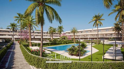 Foto 2 de Planta baixa en venda a Calle de Portichol, Monforte del Cid, Alicante