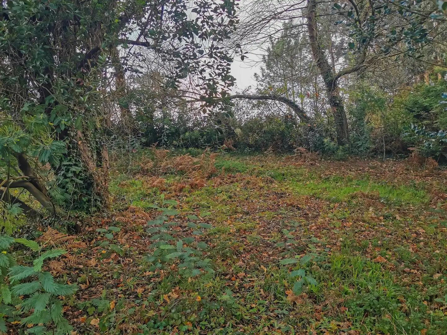 Residential land for sale in Calle Bartolomé Casas 9, imagen 2