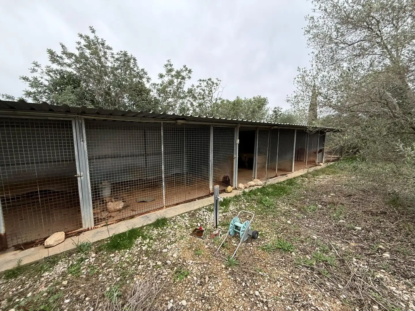 Jardín de Finca rústica en venta en Camarles