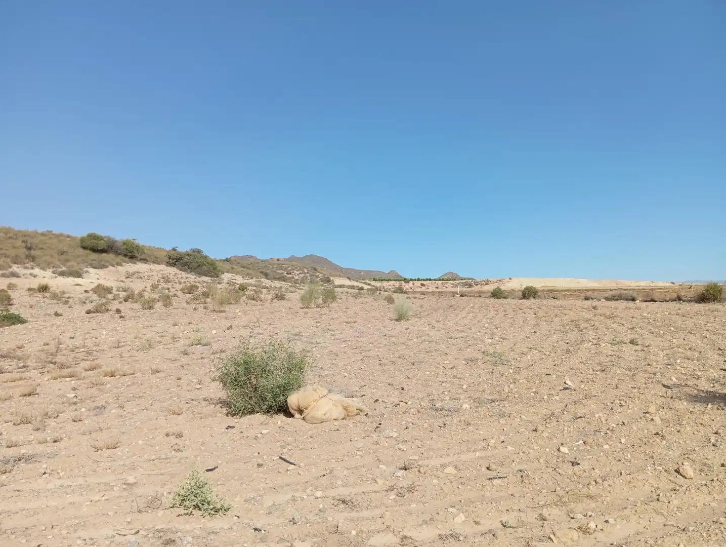 Casa rústica en venda a Cuevas del Almanzora pueblo, imagen 24