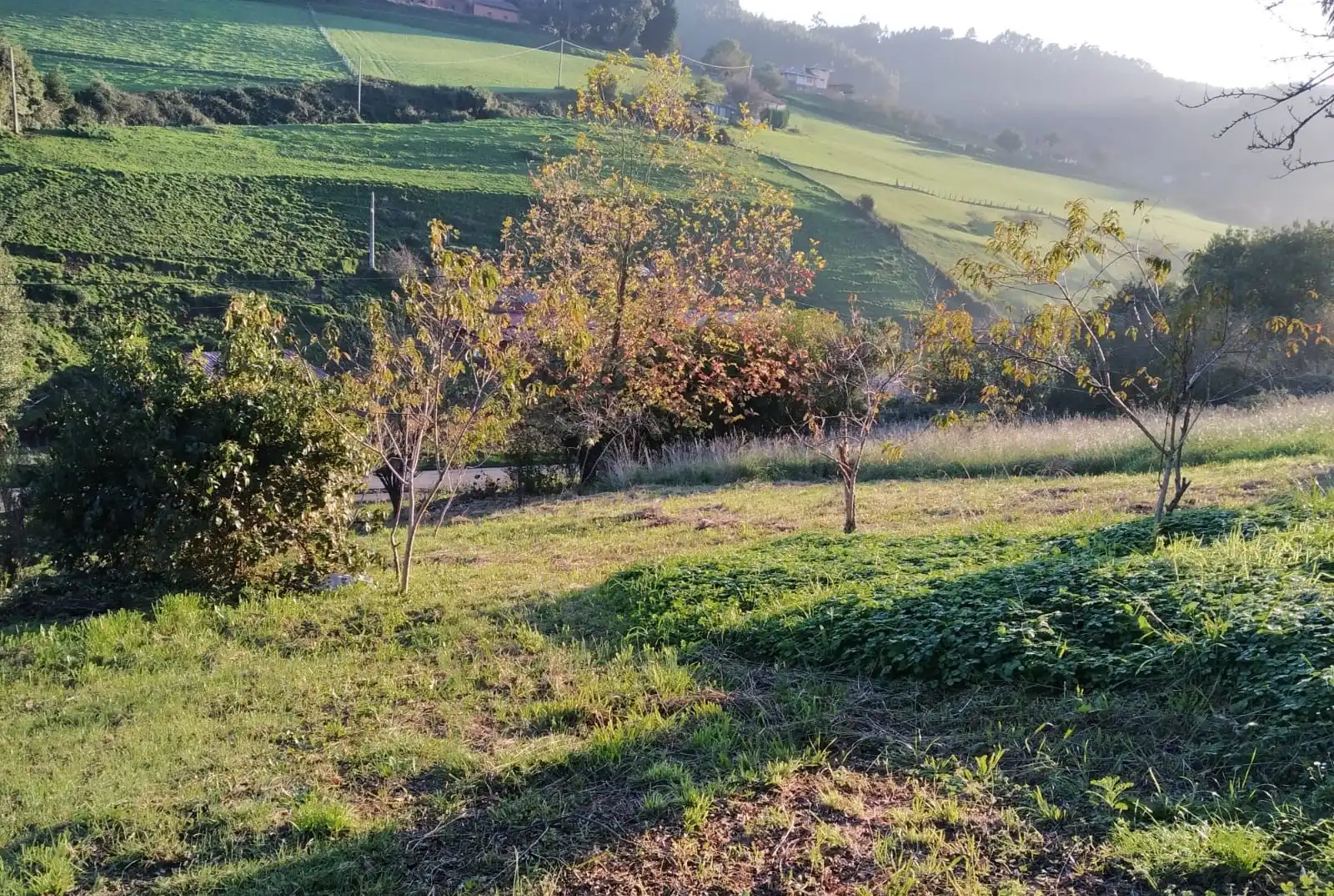 Terreny residencial en venda a Carreño, imagen 13