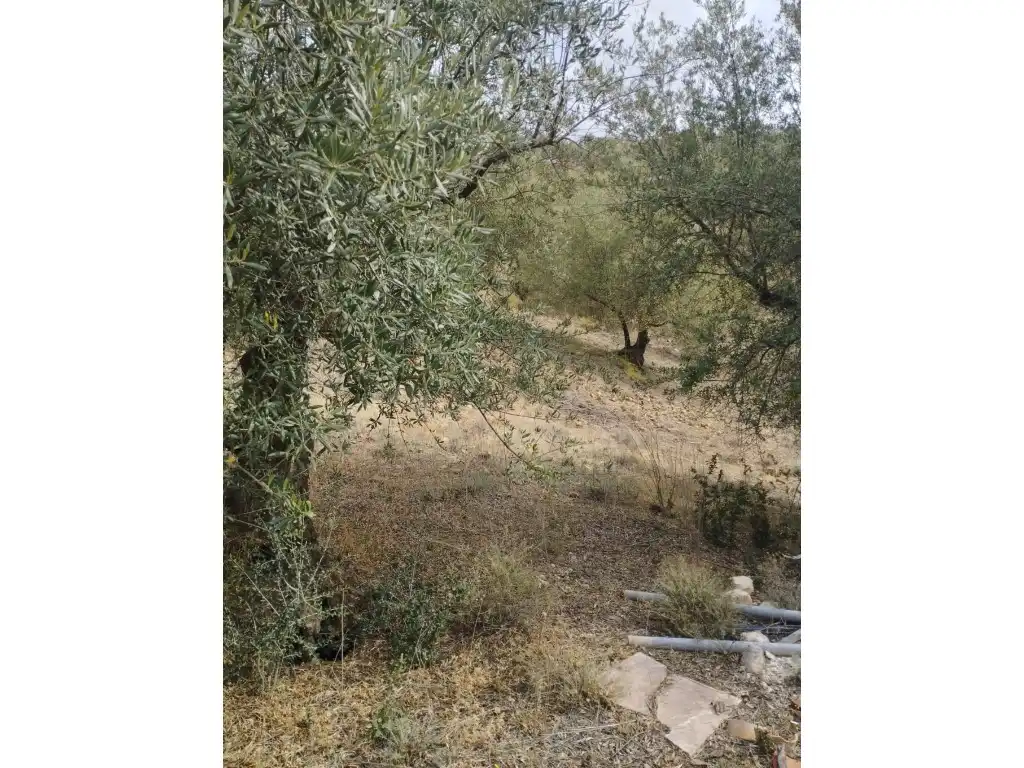 Houses for sale in Riogordo