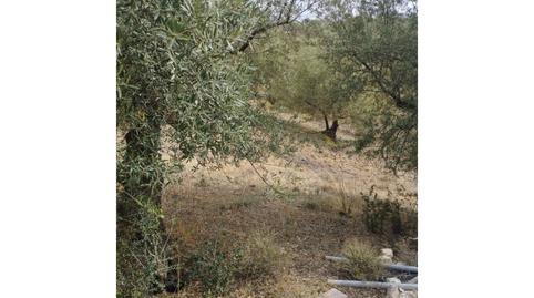 Photo 5 of House or chalet for sale in Riogordo, Málaga