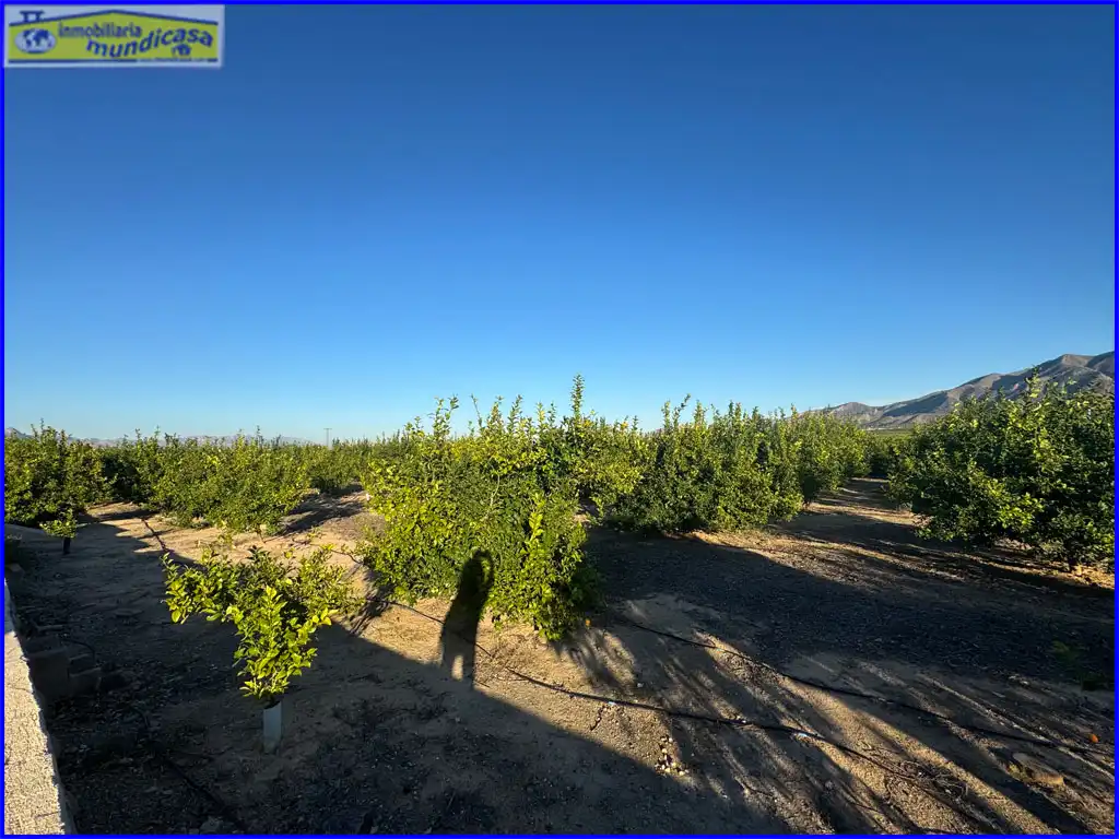 Country house with garden for sale in N/A, imagen 17