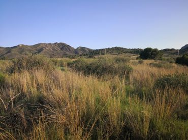 Terreno rustico in vendita a Pedanías Oeste