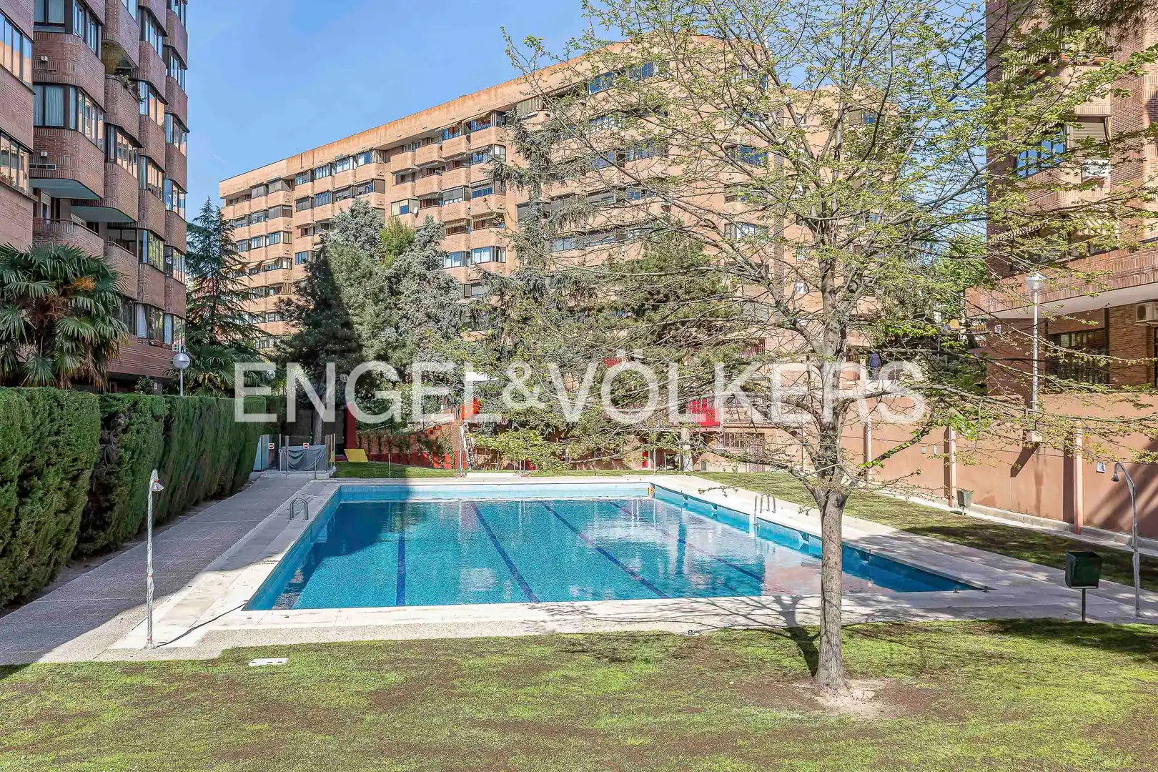 Schwimmbecken von Wohnung zur Miete in Barrio de Salamanca