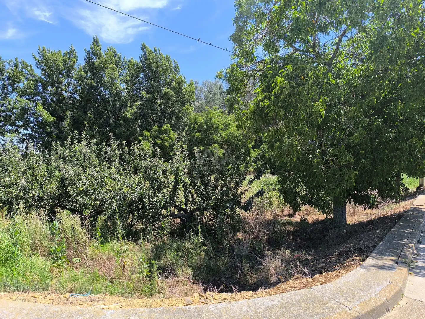 Residencial en venta en San Millán de los Caballeros