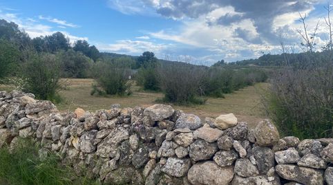 FINCA RUSTICA DE 5 HECTÁREAS EN PERAFORT