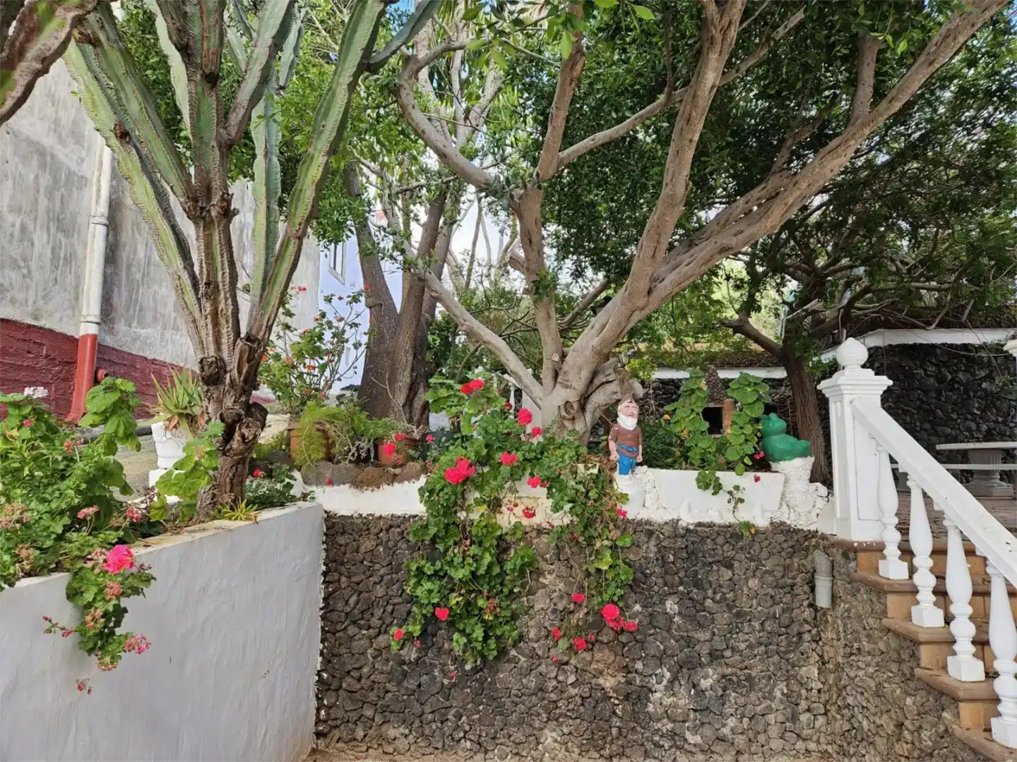 Außenansicht von Erdgeschoss zur Miete in Las Palmas de Gran Canaria mit Privatgarten und Waschmaschine